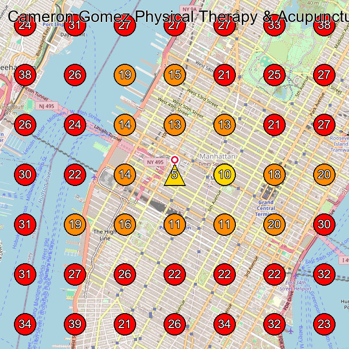 Cameron Gomez Physical Therapy & Acupuncture GeoGrid visibility map for Physical Therapist in New York